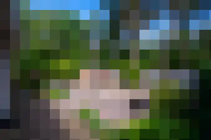 Gilzerbaan 471 Tilburg thumbnail 15