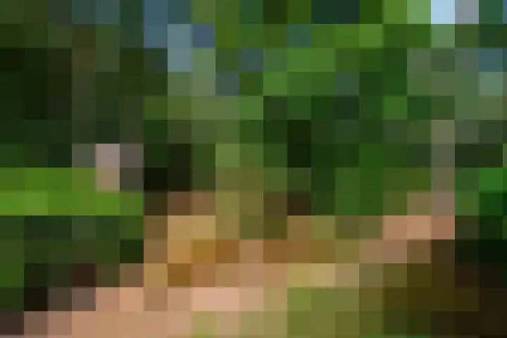 Gilzerbaan 471 Tilburg thumbnail 21