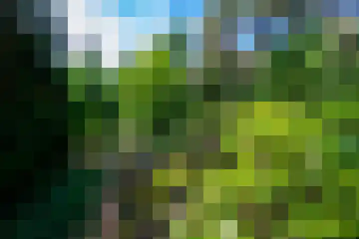 Gilzerbaan 471 Tilburg thumbnail 5