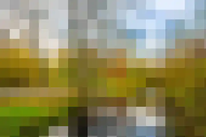 Gilzerschans 7 Nieuwegein thumbnail 54
