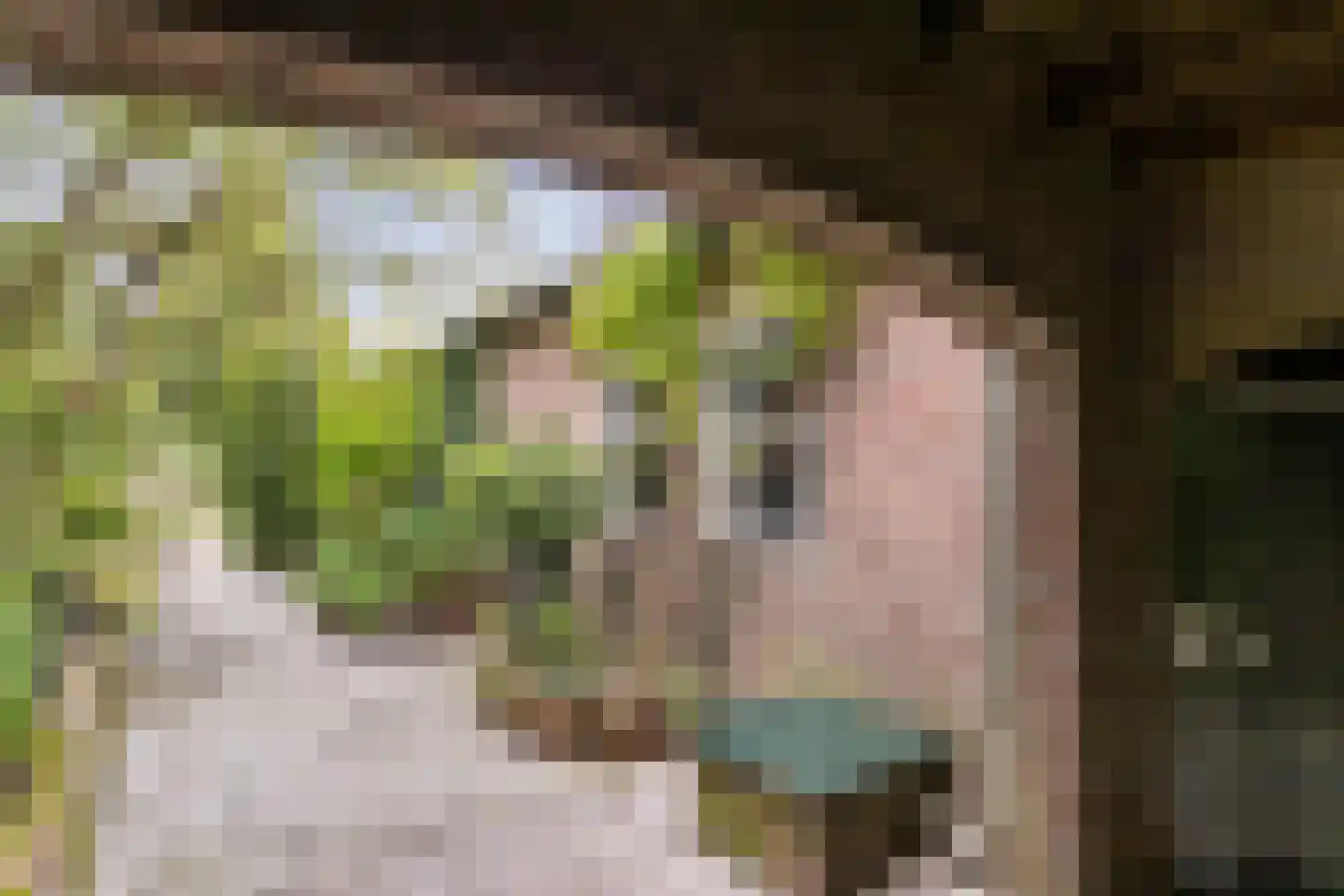 Gilzerweg 1 Alphen thumbnail 18