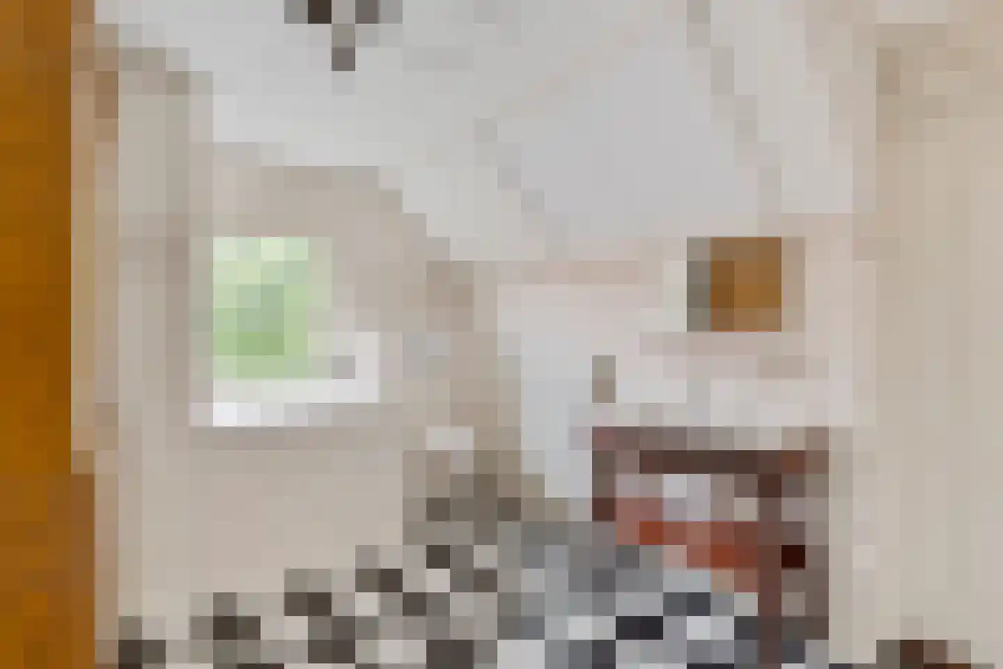 Gilzerweg 1 Alphen thumbnail 21