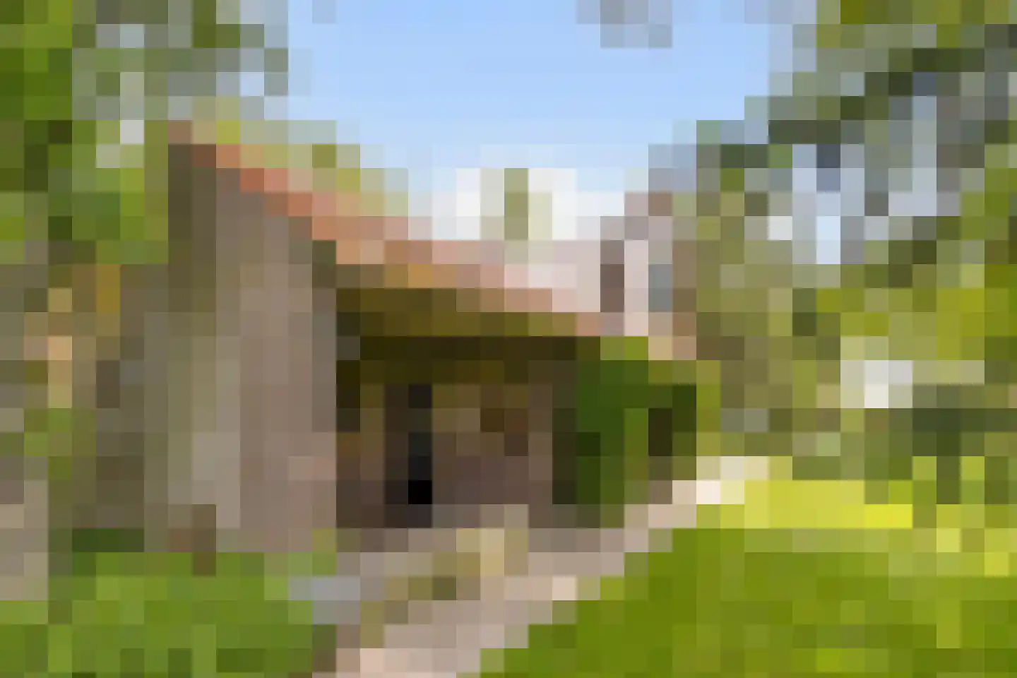 Gilzerweg 1 Alphen thumbnail 25