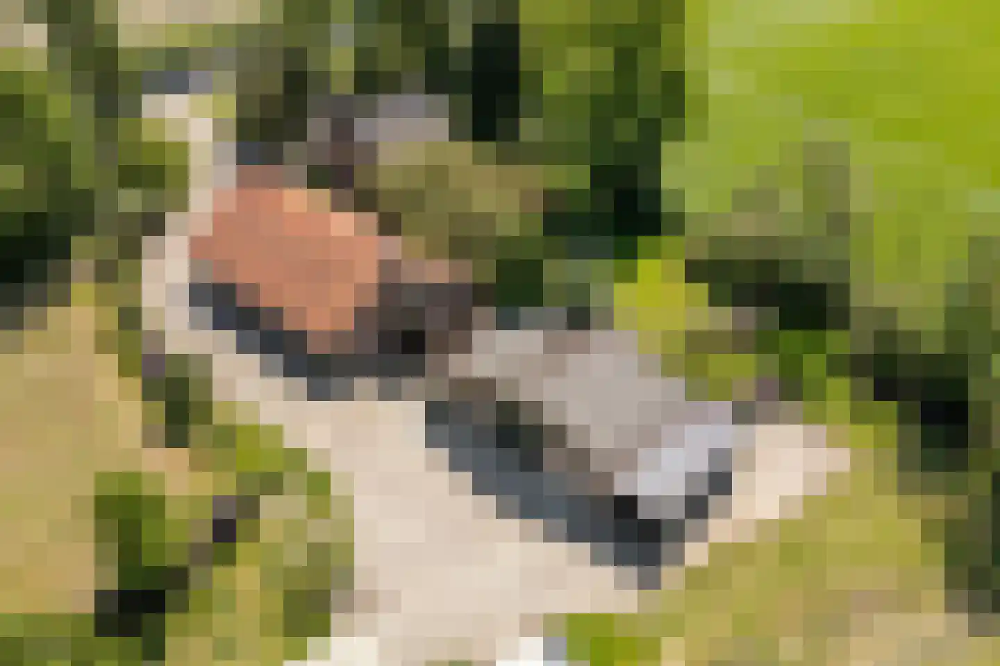 Gilzerweg 1 Alphen thumbnail 4