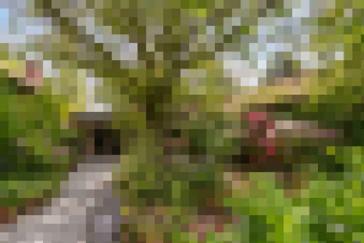 Gilzerweg 1 Alphen thumbnail 53