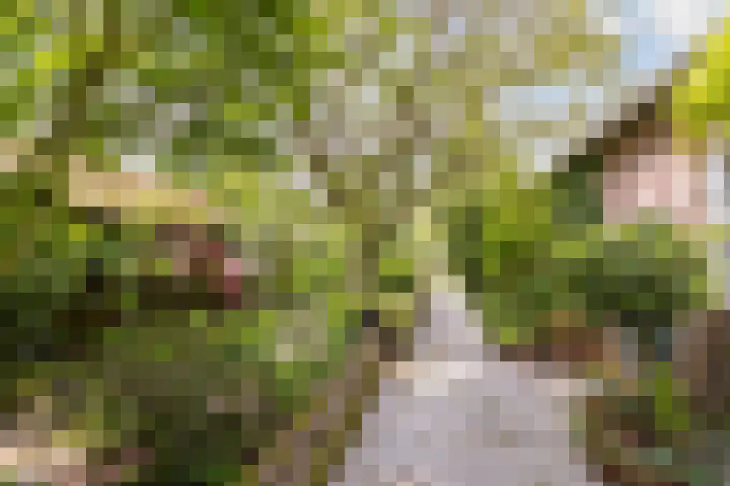 Gilzerweg 1 Alphen thumbnail 54