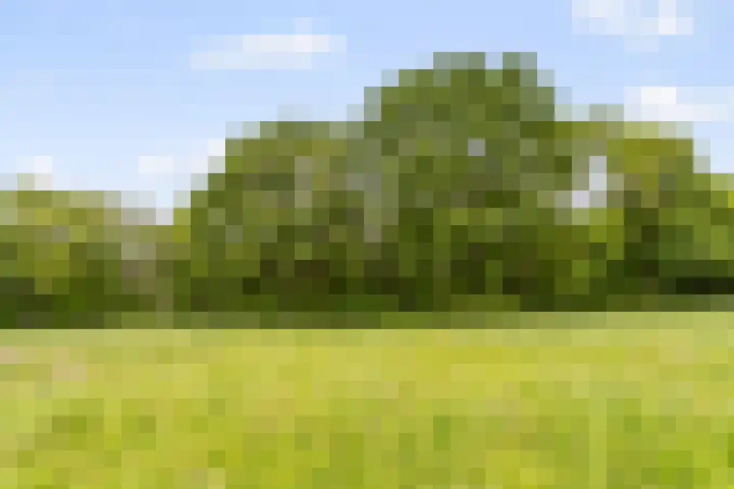 Gilzerweg 1 Alphen thumbnail 58