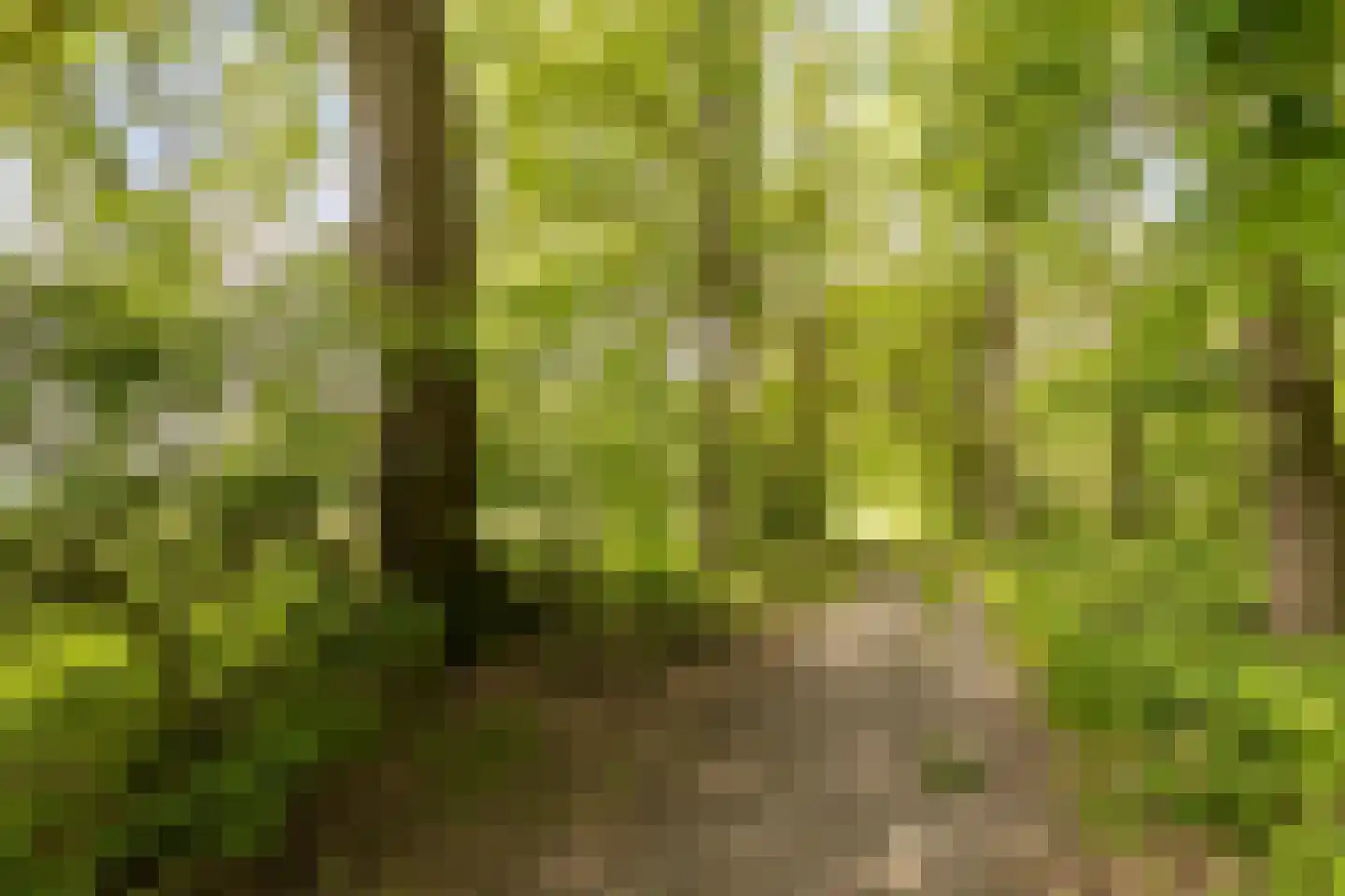 Gilzerweg 1 Alphen thumbnail 59