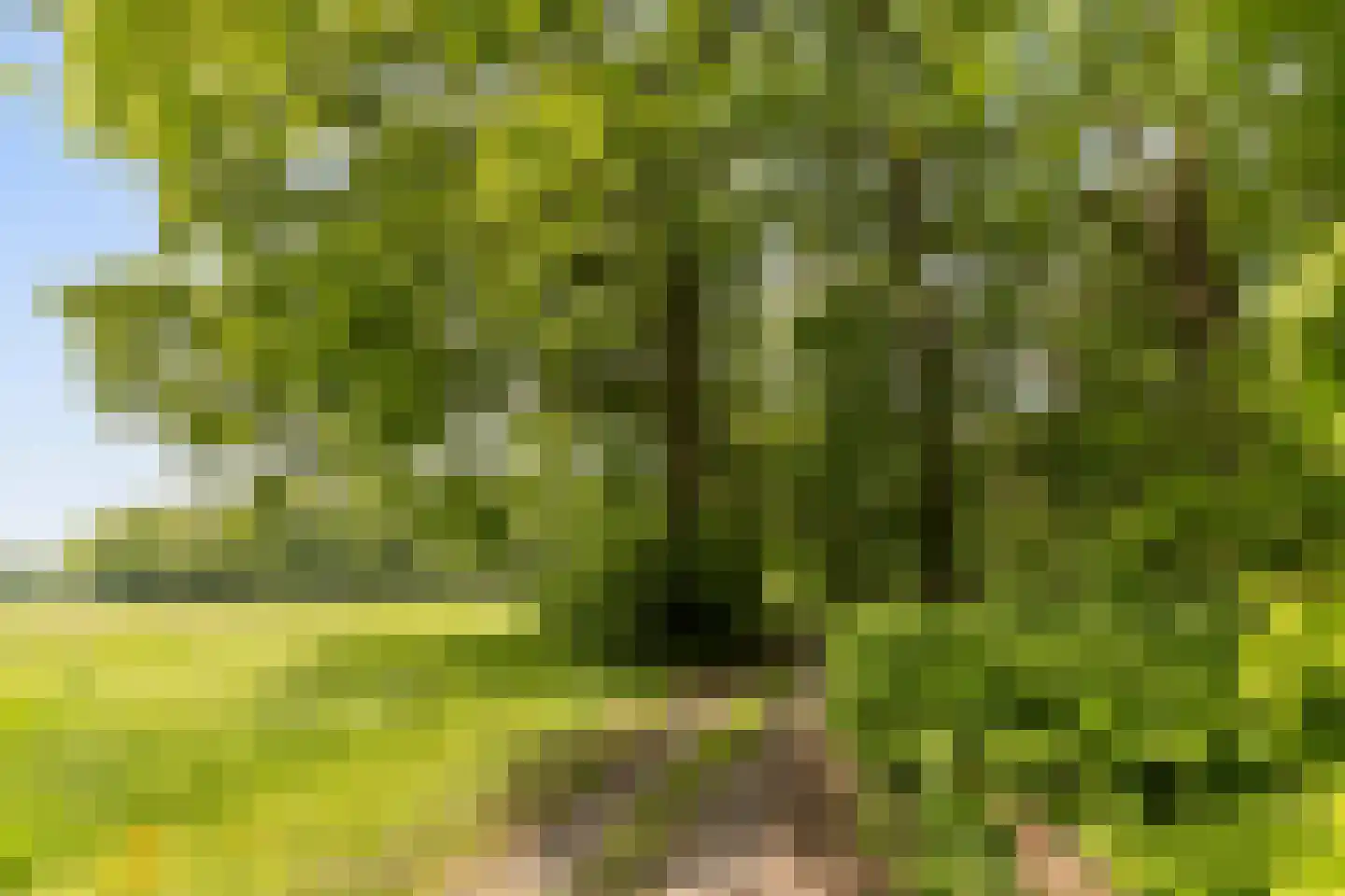 Gilzerweg 1 Alphen thumbnail 60