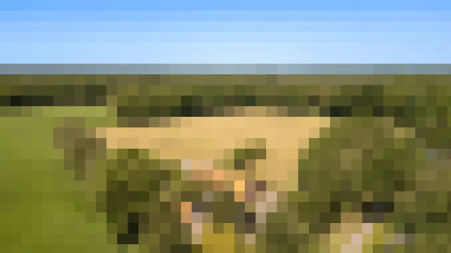 Gilzerweg 1 Alphen thumbnail 64