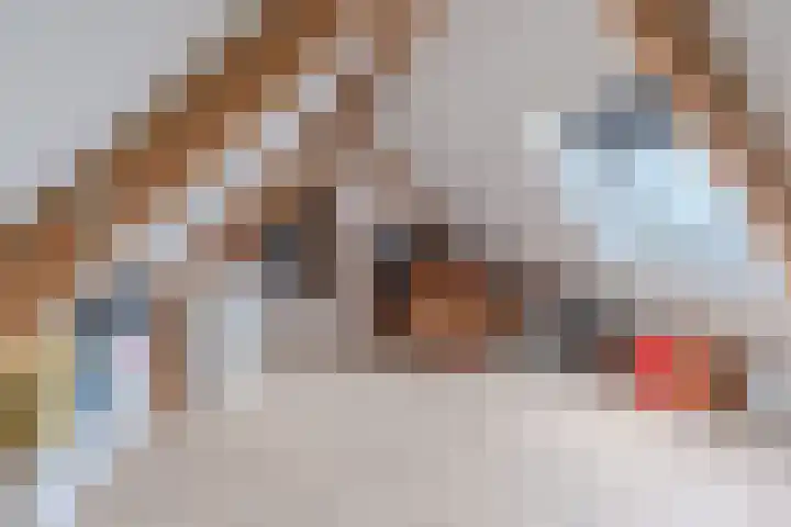 Gilzeweg 1 B Bavel thumbnail 33