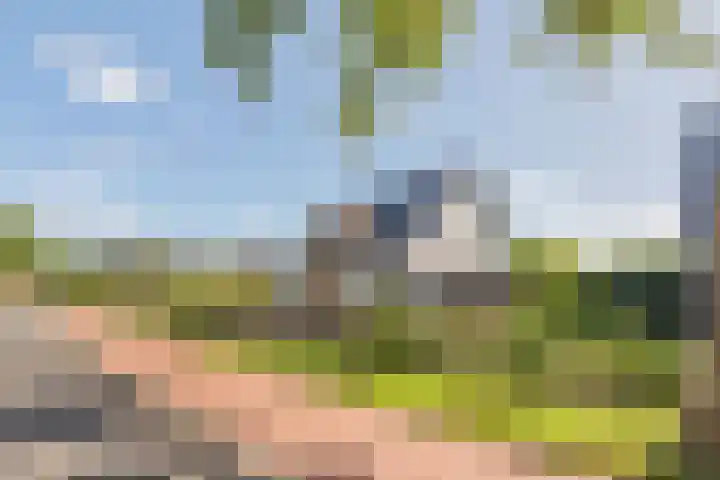 Gilzeweg 1 B Bavel thumbnail 34