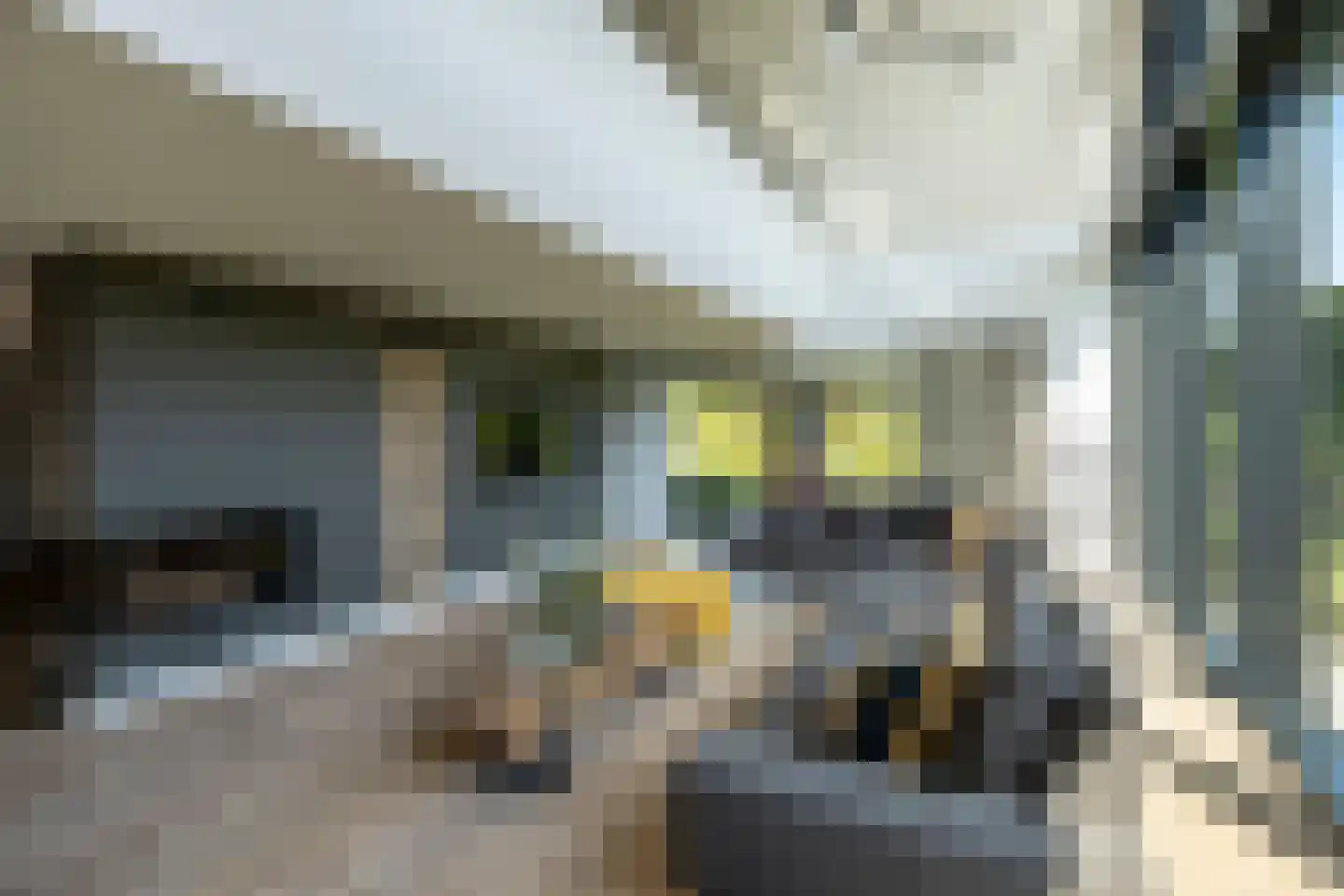 Gilzeweg 1 F Bavel thumbnail 18
