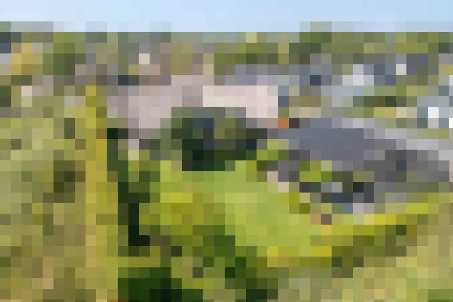 Gilzeweg 1 F Bavel thumbnail 5