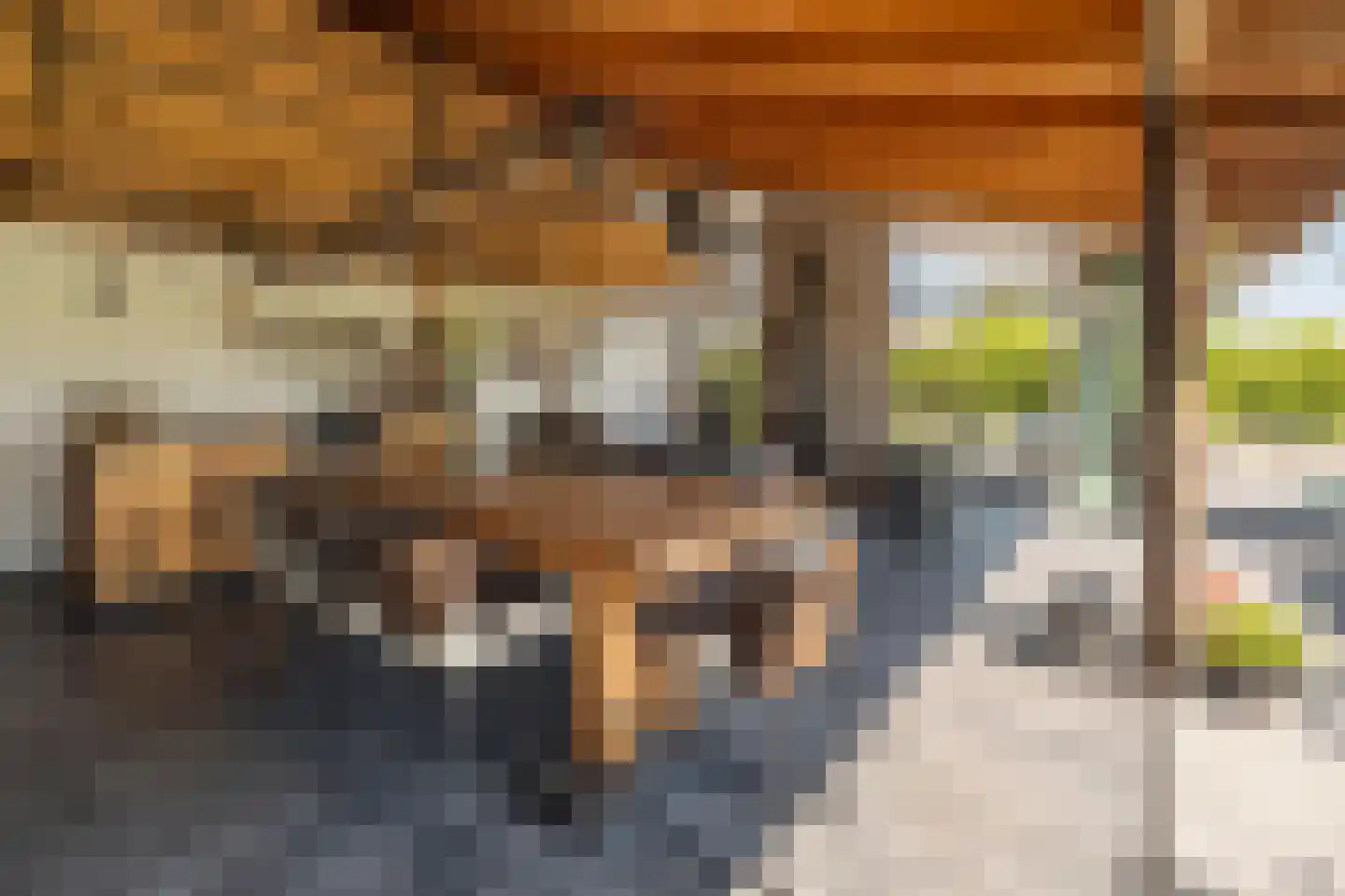 Gilzeweg 1 F Bavel thumbnail 8