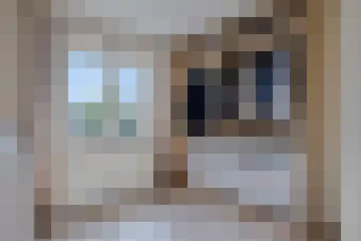Gilzeweg 10 Chaam thumbnail 28
