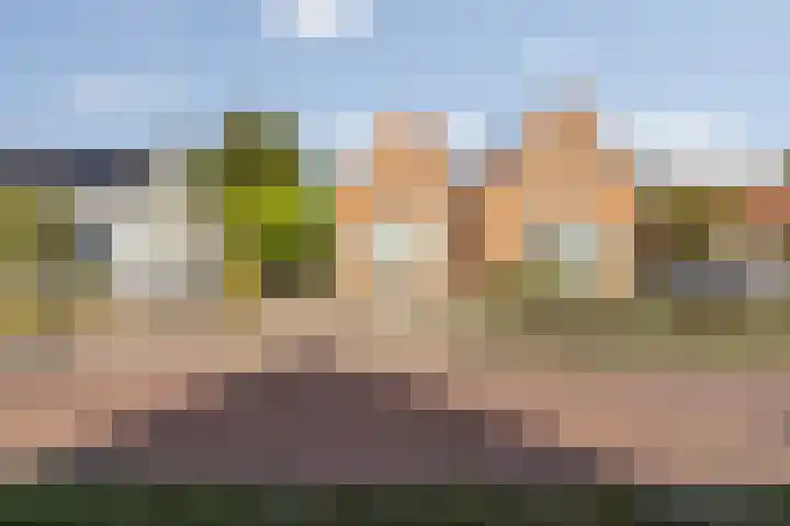 Gilzeweg 41 Chaam thumbnail 10