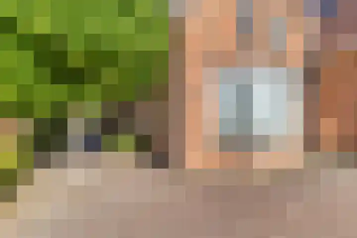 Gilzeweg 41 Chaam thumbnail 12