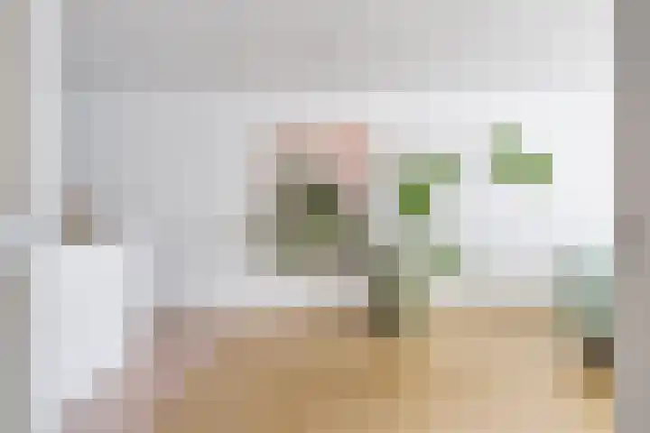Gilzeweg 41 Chaam thumbnail 17