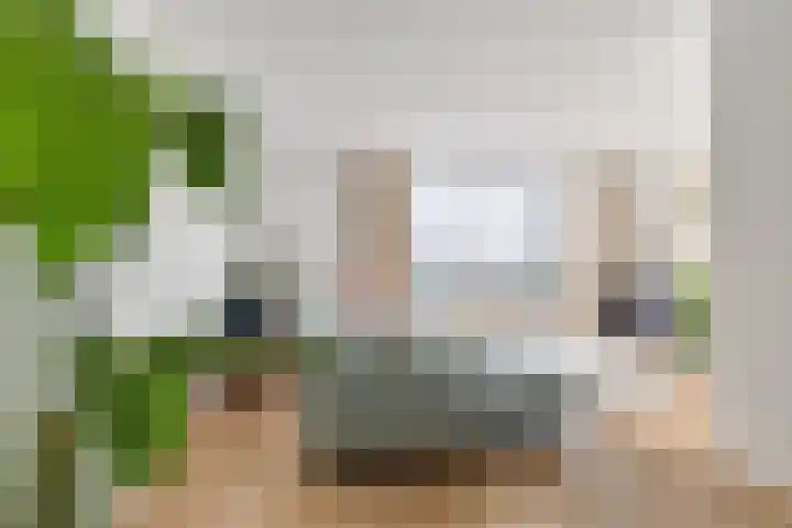 Gilzeweg 41 Chaam thumbnail 18