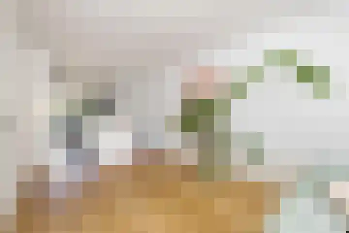 Gilzeweg 41 Chaam thumbnail 24