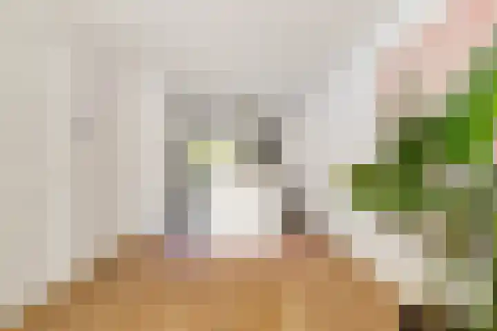 Gilzeweg 41 Chaam thumbnail 25