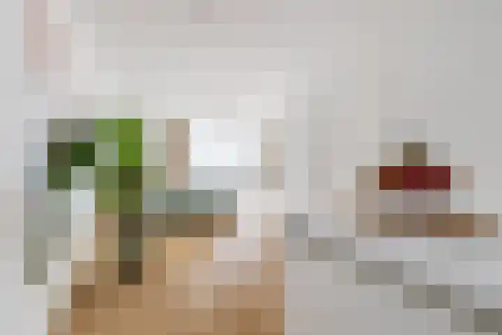 Gilzeweg 41 Chaam thumbnail 26