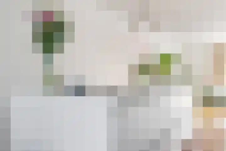 Gilzeweg 41 Chaam thumbnail 31