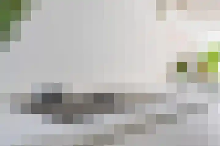 Gilzeweg 41 Chaam thumbnail 32