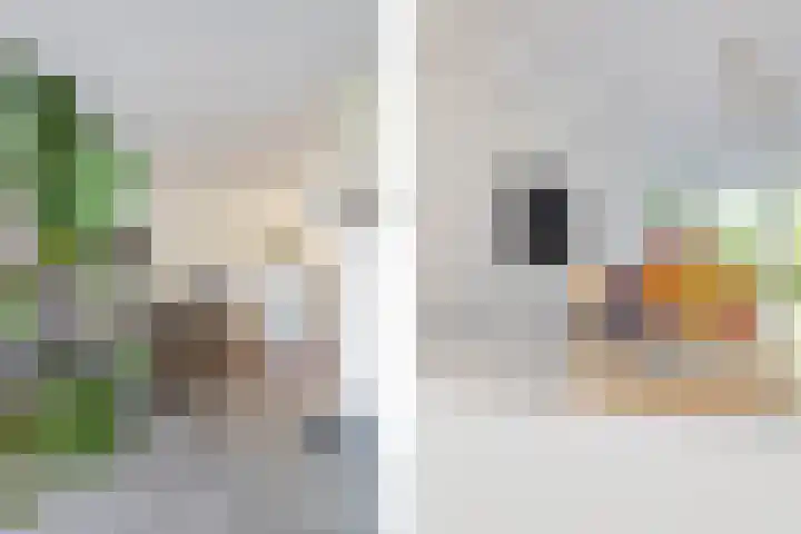 Gilzeweg 41 Chaam thumbnail 33