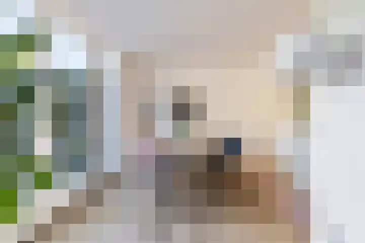 Gilzeweg 41 Chaam thumbnail 36