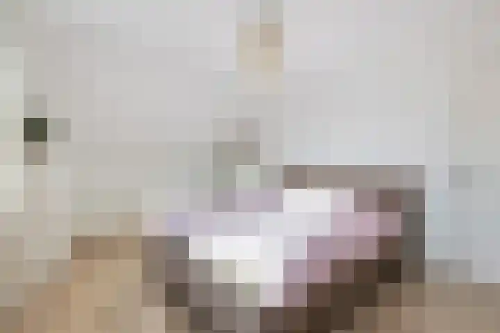 Gilzeweg 41 Chaam thumbnail 4