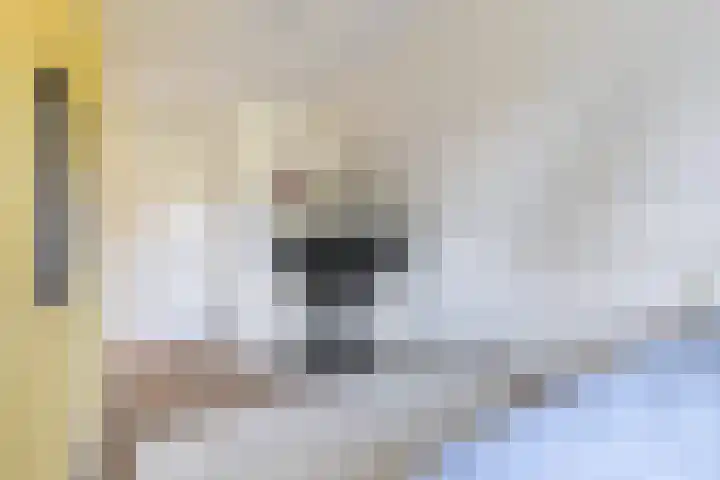 Gilzeweg 41 Chaam thumbnail 49