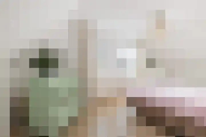 Gilzeweg 41 Chaam thumbnail 56
