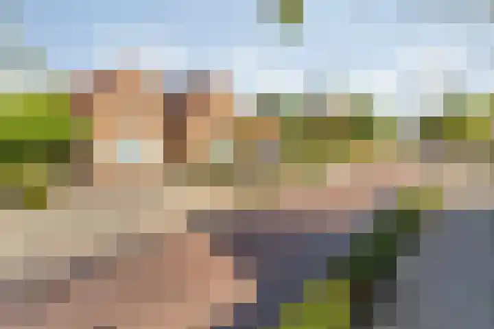 Gilzeweg 41 Chaam thumbnail 6