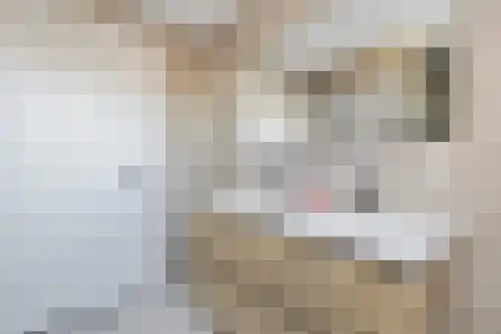 Gilzeweg 41 Chaam thumbnail 63