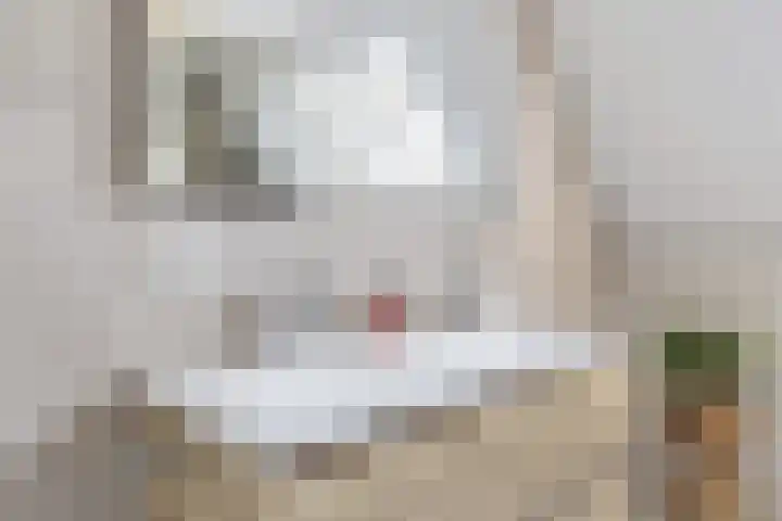 Gilzeweg 41 Chaam thumbnail 64