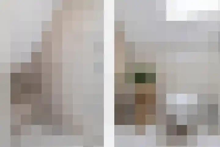 Gilzeweg 41 Chaam thumbnail 65
