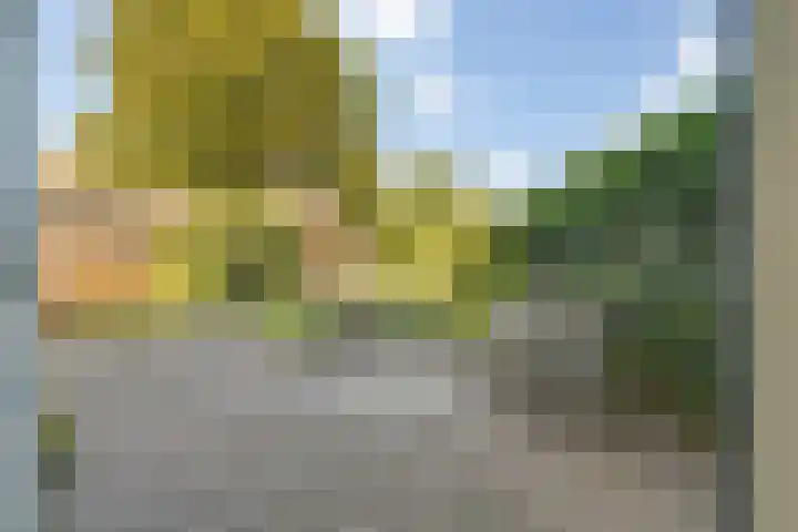 Gilzeweg 41 Chaam thumbnail 67
