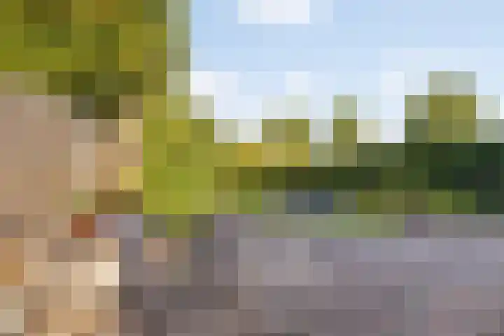 Gilzeweg 41 Chaam thumbnail 68