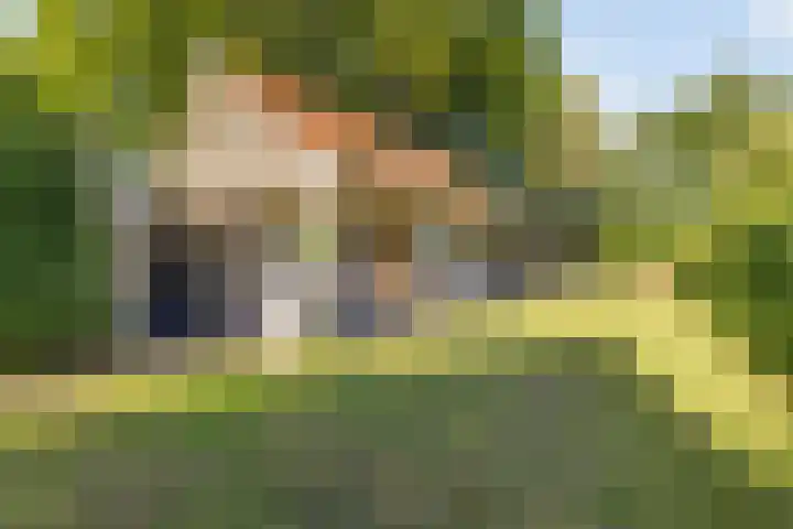 Gilzeweg 41 Chaam thumbnail 69