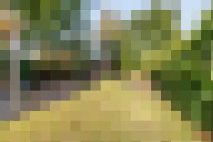 Gilzeweg 41 Chaam thumbnail 70