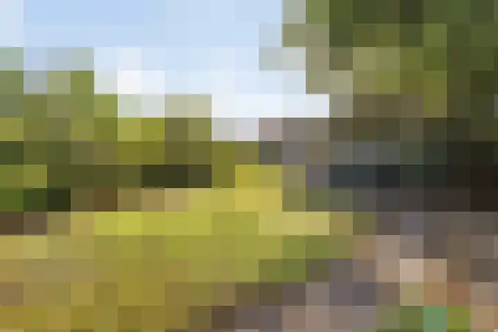 Gilzeweg 41 Chaam thumbnail 71