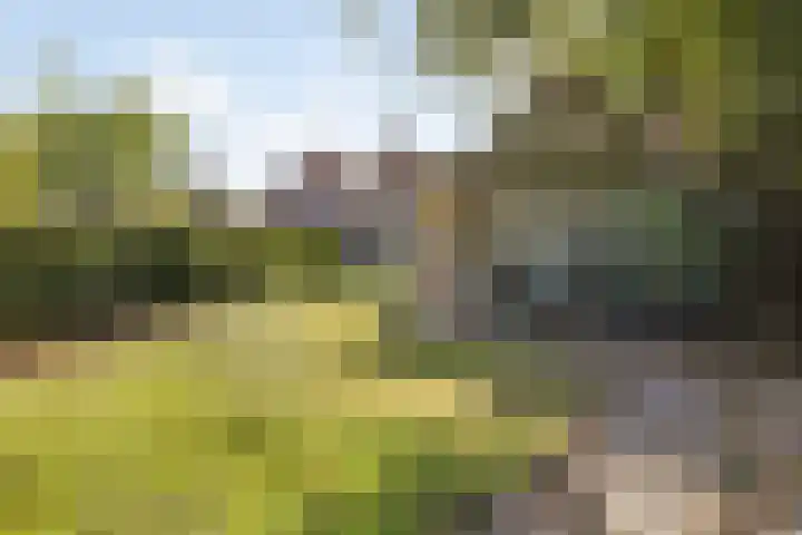 Gilzeweg 41 Chaam thumbnail 72