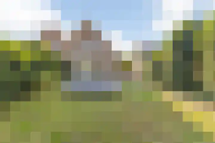 Gilzeweg 41 Chaam thumbnail 73