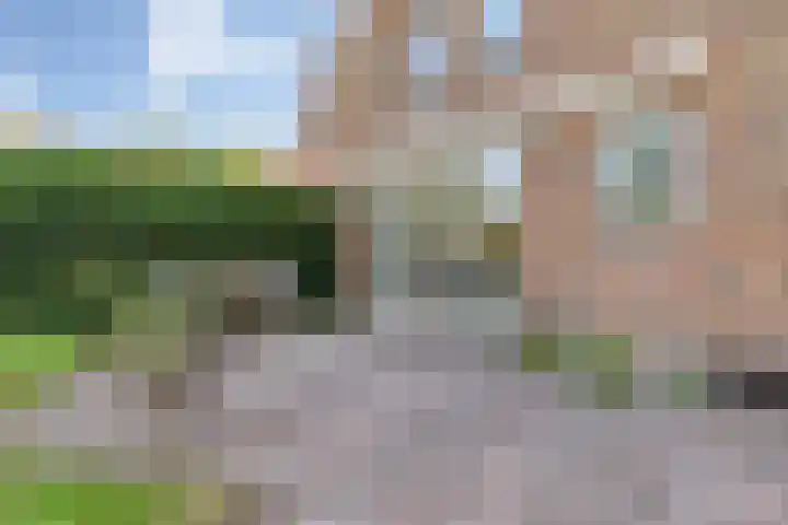 Gilzeweg 41 Chaam thumbnail 74