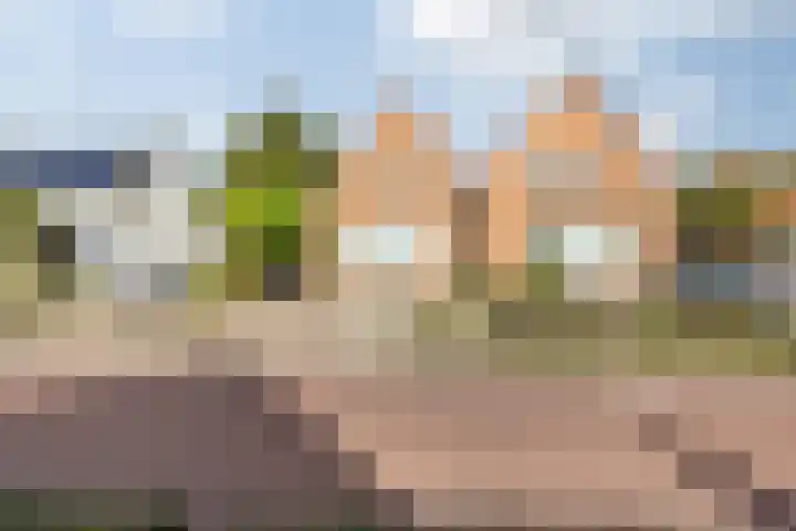 Gilzeweg 41 Chaam thumbnail 9