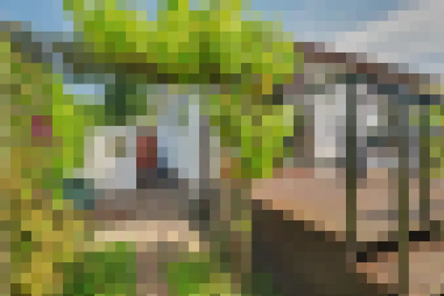 Gilzeweg 42 b 06 Chaam thumbnail 39