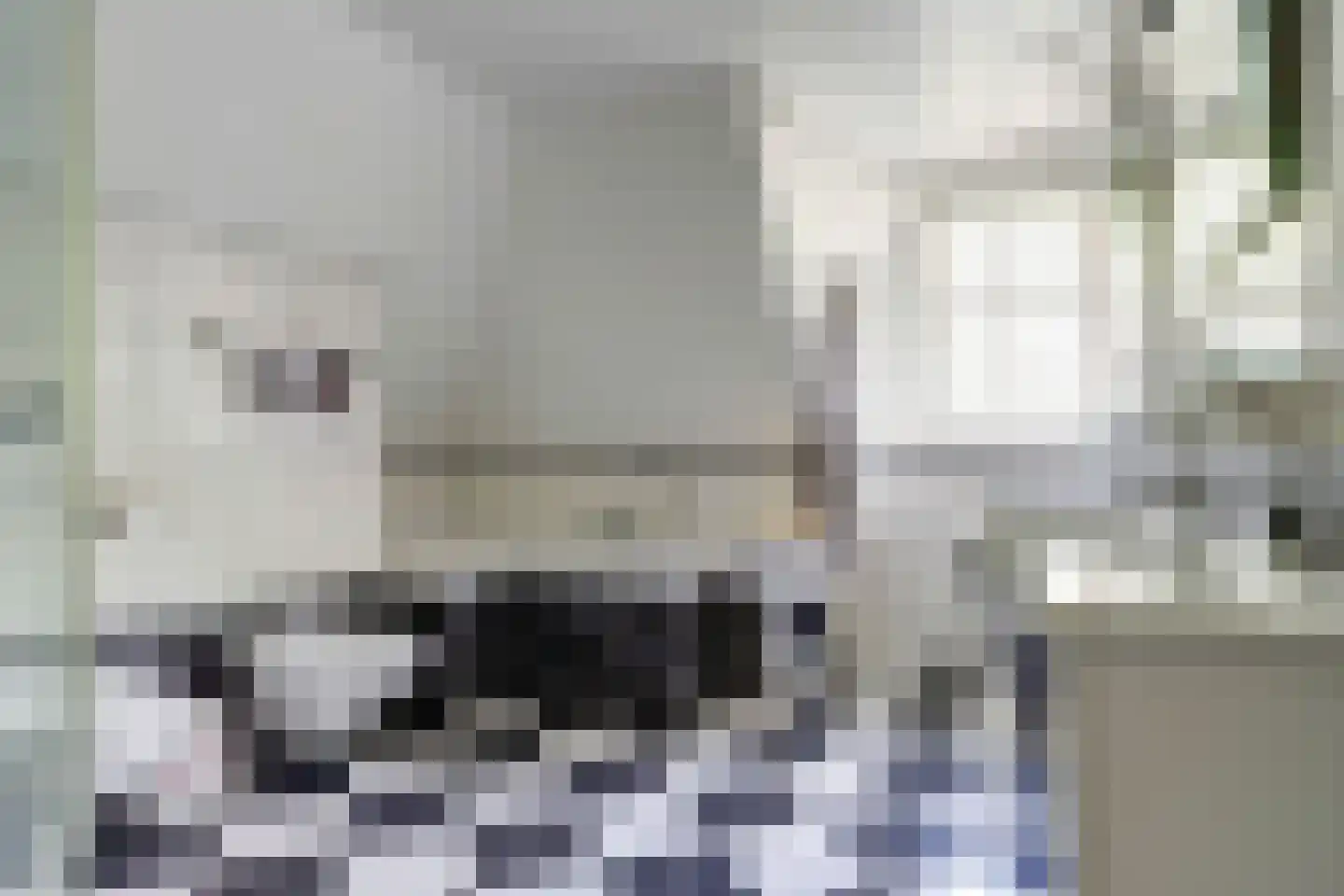 Gilzeweg 51 Chaam thumbnail 31