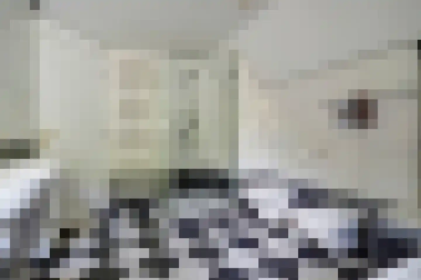 Gilzeweg 51 Chaam thumbnail 32
